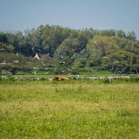 Evancy Platier D'oye - 3* Oye-Plage