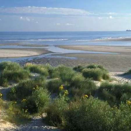 Evancy Platier D'oye - 3*