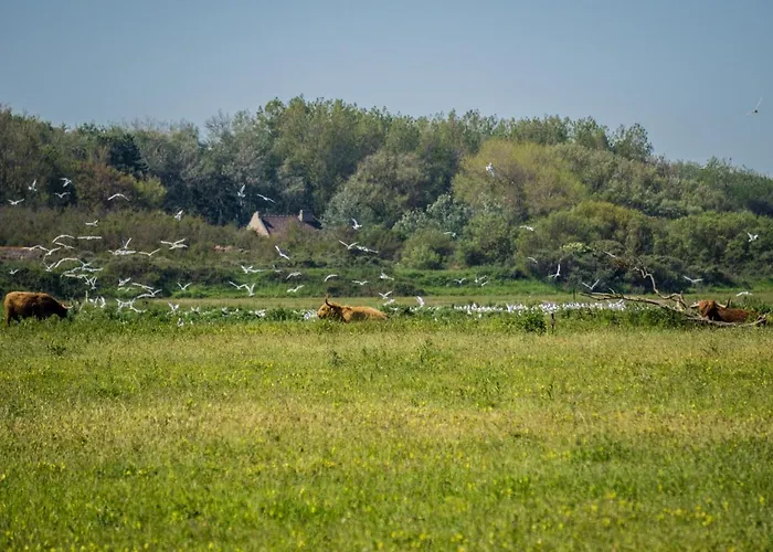 Evancy Platier D'oye - 3* Oye-Plage