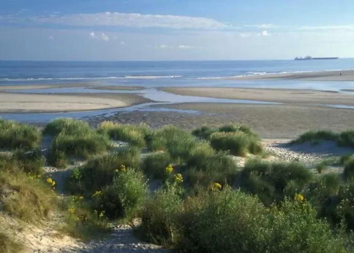 Evancy Platier D'oye - 3*